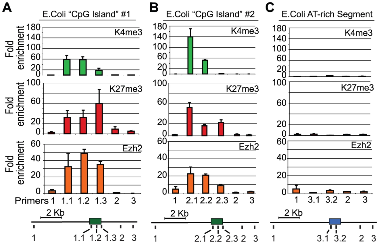 PRC2 is recruited to E.coli GC-rich sequences in mouse ES cells.
