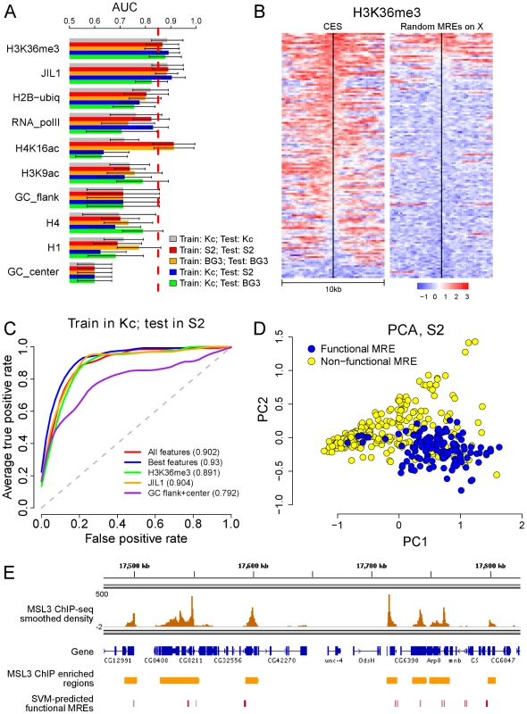 Chromatin context is predictive of functional MREs.