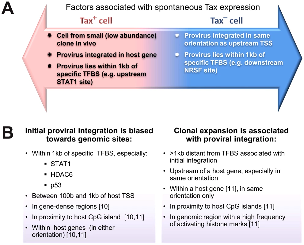 Genomic correlates of HTLV-1 proviral targeting, clonal expansion and proviral expression.