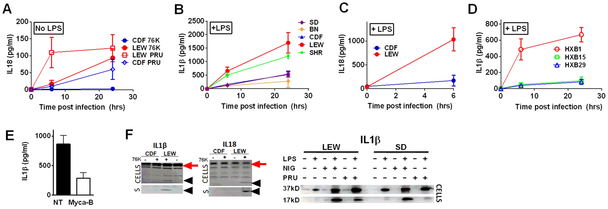 NLRP1-variant dependent cytokine cleavage and secretion.