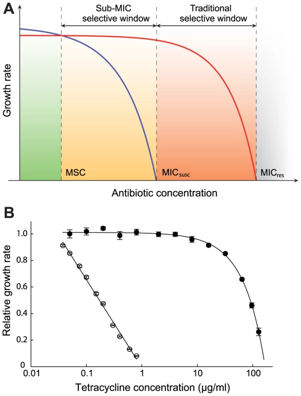 Growth rates as a function of antibiotic concentration.