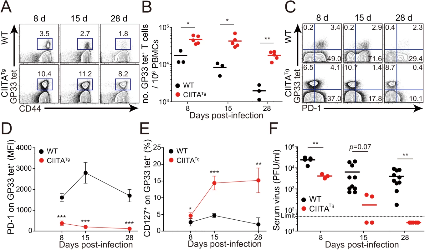Accelerated viral control in CIITA<sup>Tg</sup> mice during LCMV clone 13 infection.
