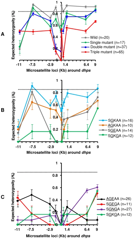 Selective sweeps around <i>dhps</i> alleles in Cambodia.