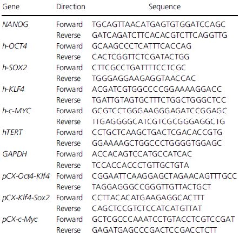 Primer sequences used for RT-PCR.
