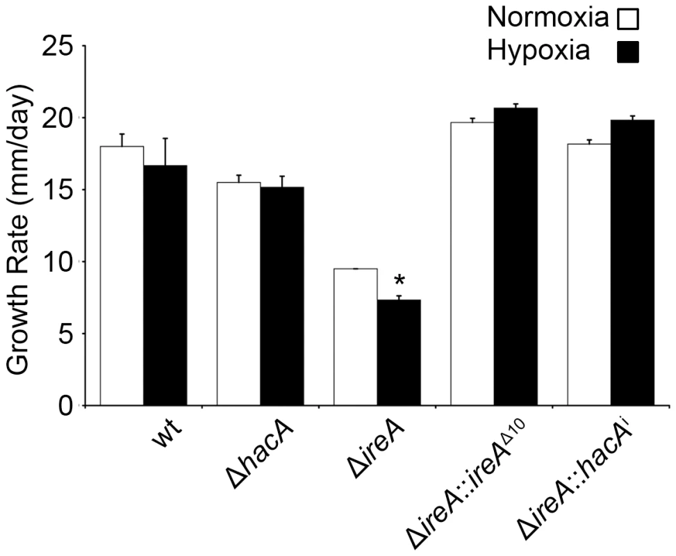 IreA contributes to growth in hypoxia.