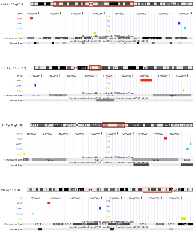 Recombination rate variation across human Hox paralogon containing chromosomes.