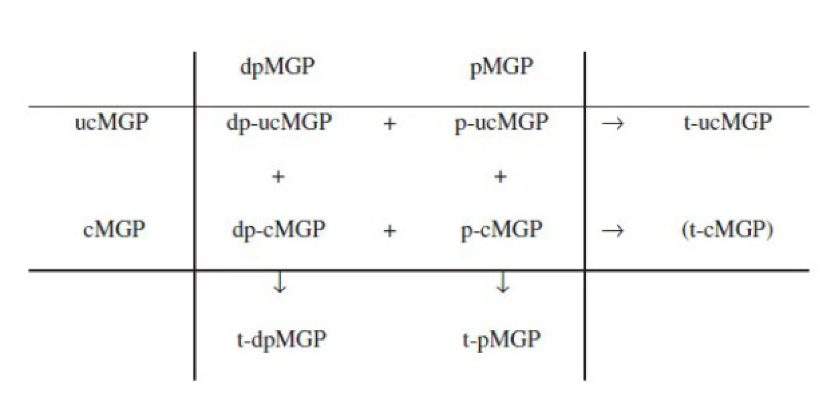 Cirkulující kvantifikovatelné izoformy matrix Gla proteinu v závislosti na stupni karboxylace a fosforylace (upraveno dle: Dalmeijer et al., 2013)