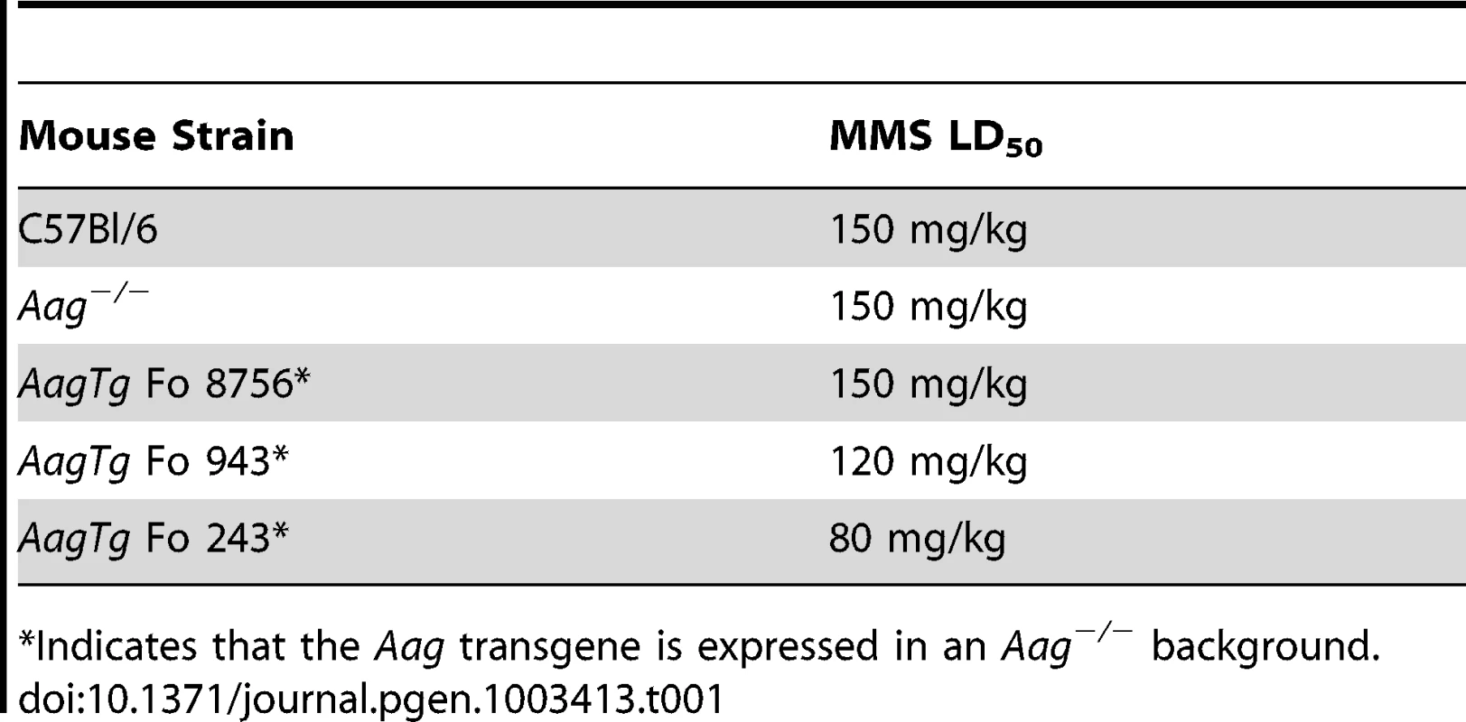 Approximate MMS LD<sub>50</sub> for <i>Aag</i> transgenic mice.