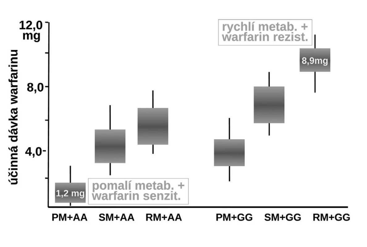 Vliv polymorfismu izoenzymu CYP2C9 a reduktázy vittaminu K - VKORC1 na dávkování warfarinu (19) PM+AA – kombinace polymorfismu warfarin senzitivní + pomalý metabolizátor, SM+AA – kombinace polymorfismu warfarin senzitivní + střední metabolizátor, RM+AA – kombinace polymorfismu warfarin senzitivní + rychlý metabolizátor, PM+GG – kombinace polymorfismu warfarin rezistentní + pomalý metabolizátor, SM+GG – kombinace polymorfismu warfarin rezistentní + střední metabolizátor, RM+GG – kombinace polymorfismu warfarin rezistentní + rychlý metabolizátor
