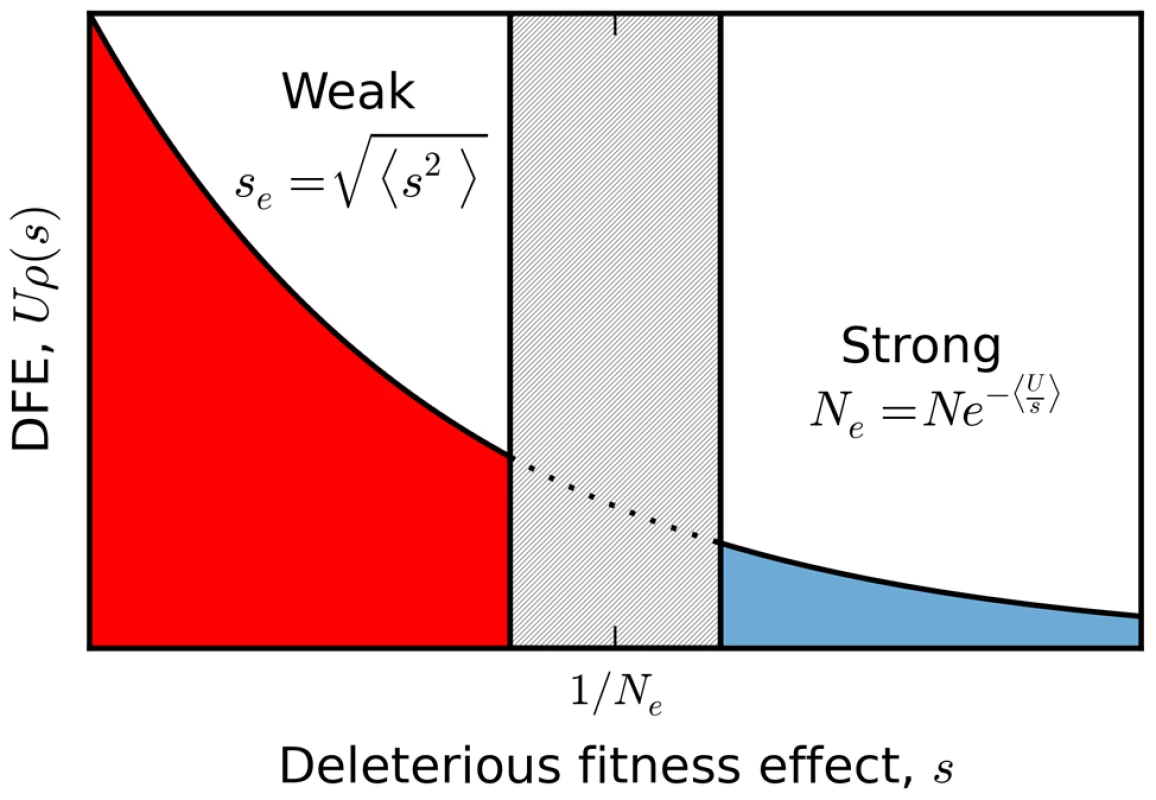 A schematic partition of a broad distribution of fitness effects.