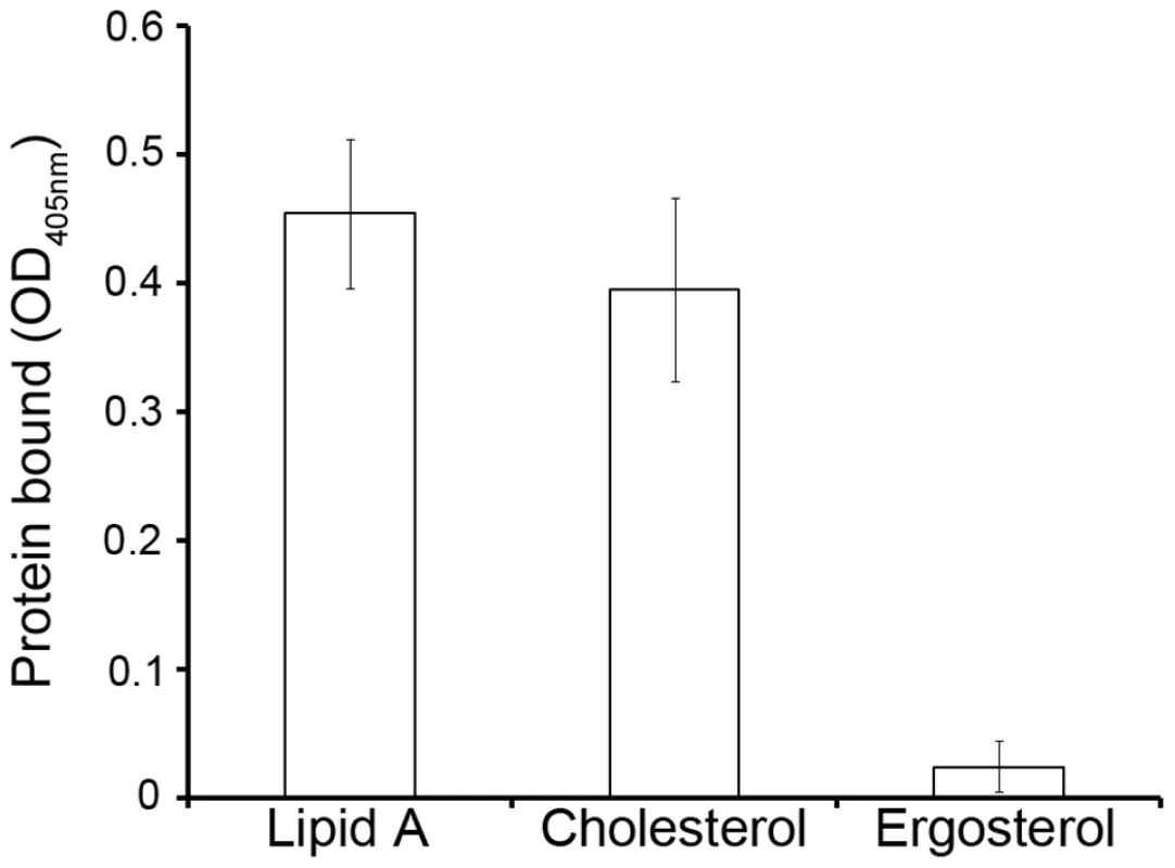 Binding of recombinant Mr-NPC2a to diphosphoryl lipid A from <i>E. coli</i>, cholesterol and ergosterol.