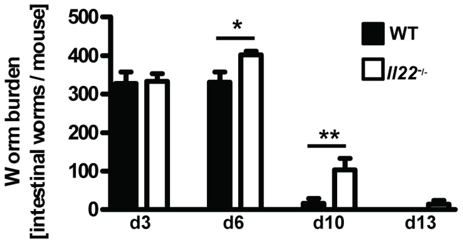 <i>Il22</i><sup>−/−</sup> mice have reduced worm expulsion.