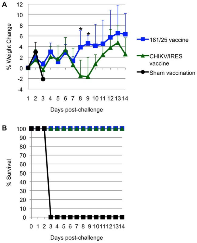 Weight and survival in 10-week-old A129 vaccinated with CHIKV/IRES, 181/25, or PBS, then challenged with wt- CHIKV (100 PFU).