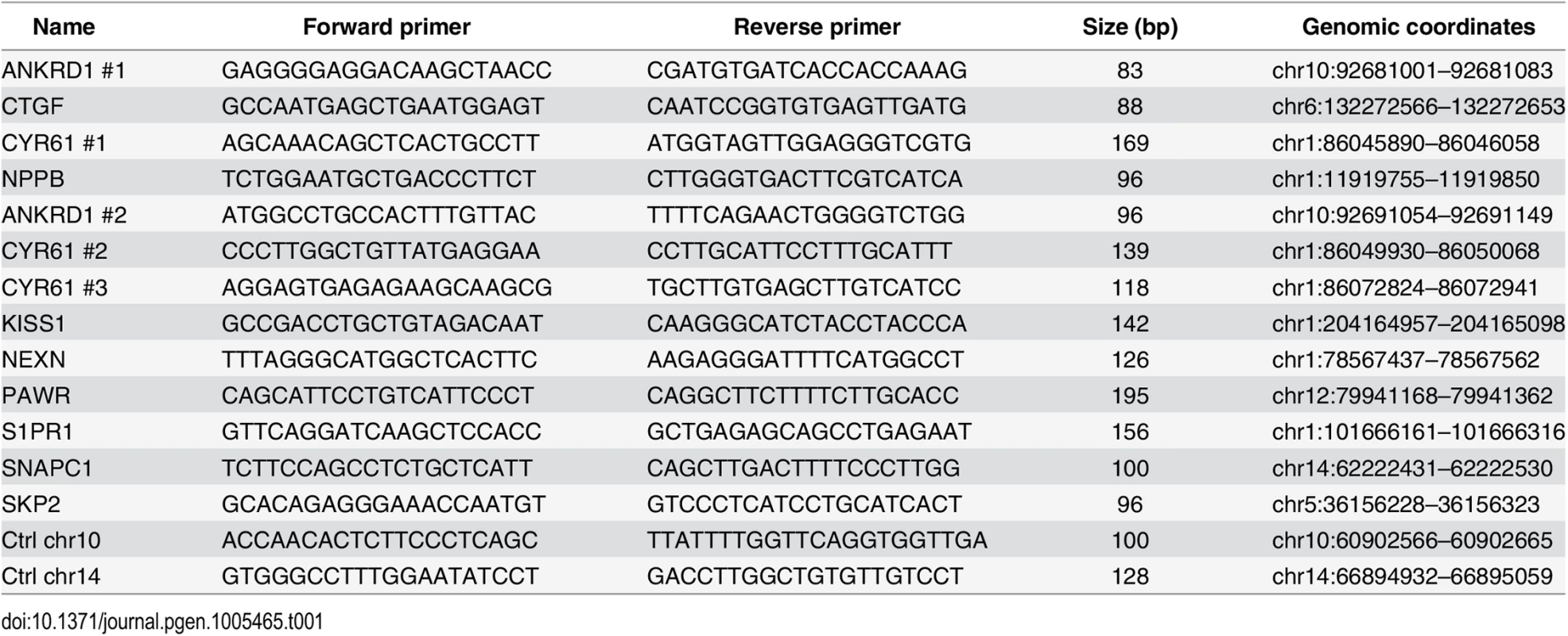 Primers used for ChIP-qPCR.