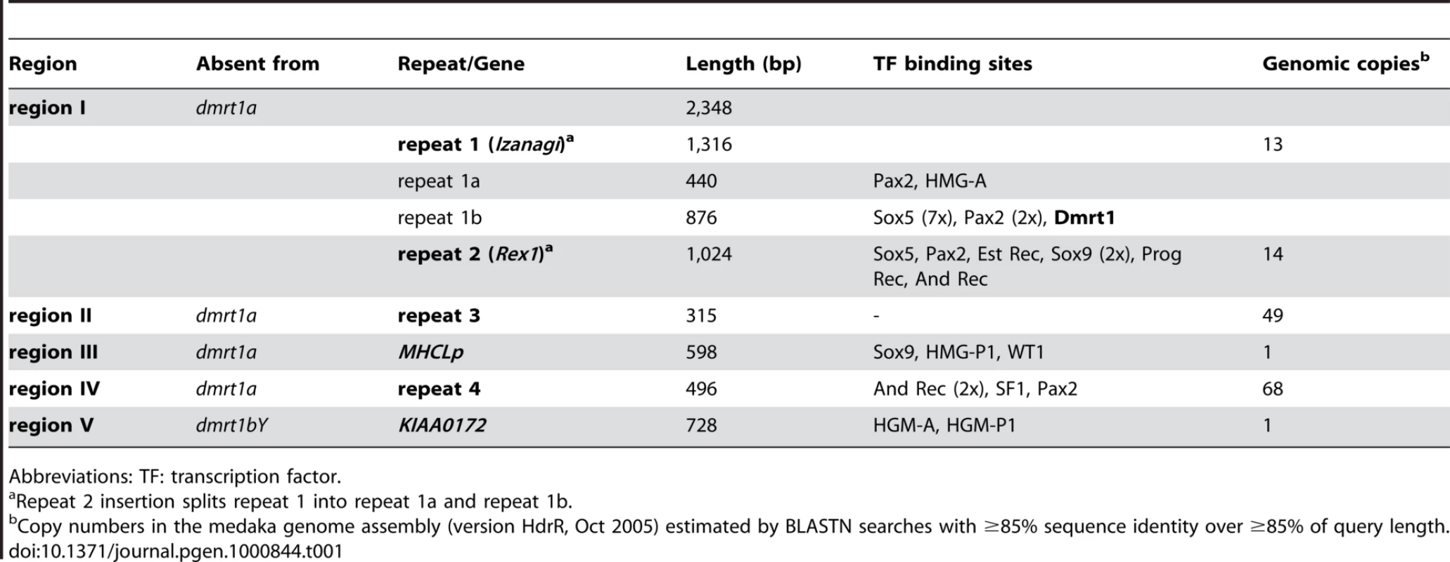 Characterization of regions contributing to length differences between <i>dmrt1</i> upstream sequences.