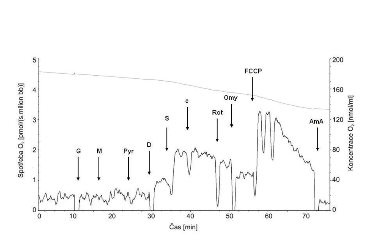 Typická křivka spotřeby kyslíku permeabilizovanými spermiemi Plná čára znázorňuje spotřebu kyslíku, tečkovaná koncentraci kyslíku v komůrce. 
Šipky ukazují aplikaci jednotlivých chemikálií: G – glutamát; M – malát; Pyr – pyruvát; D – ADP; S – sukcinát; c – cytochrom c; Rot – rotenon; Omy – oligomycin; FCCP – karbonylkyanid-p-trifluorometoxyfenylhydrazon; Ama – antimycin A.
