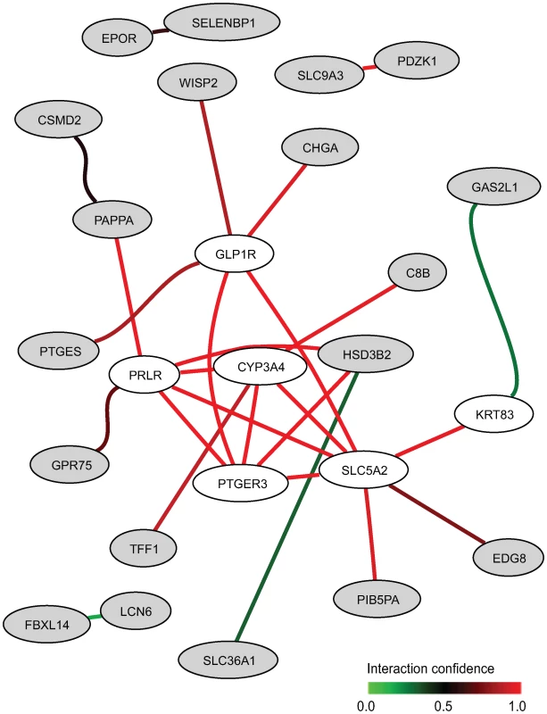 Network between top genes (in grey) in the two hormone-related gene sets up-regulated in non-smokers and genes (in white) predicted by HEFalMp in relation to this query considering all genes in all biological processes.