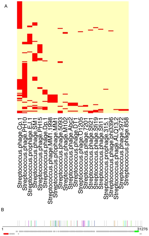 Traces of viral sequences in the streptococcal CRISPRs in human microbiomes.