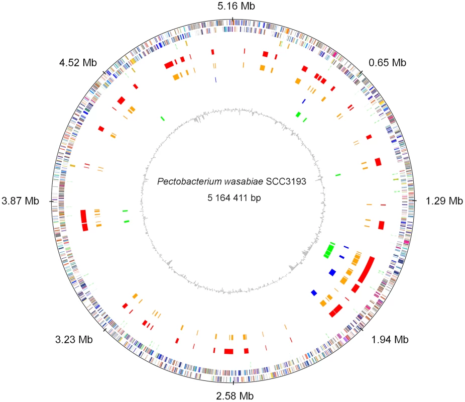 Circular representation of the chromosome of <i>Pectobacterium wasabiae</i> SCC3193.