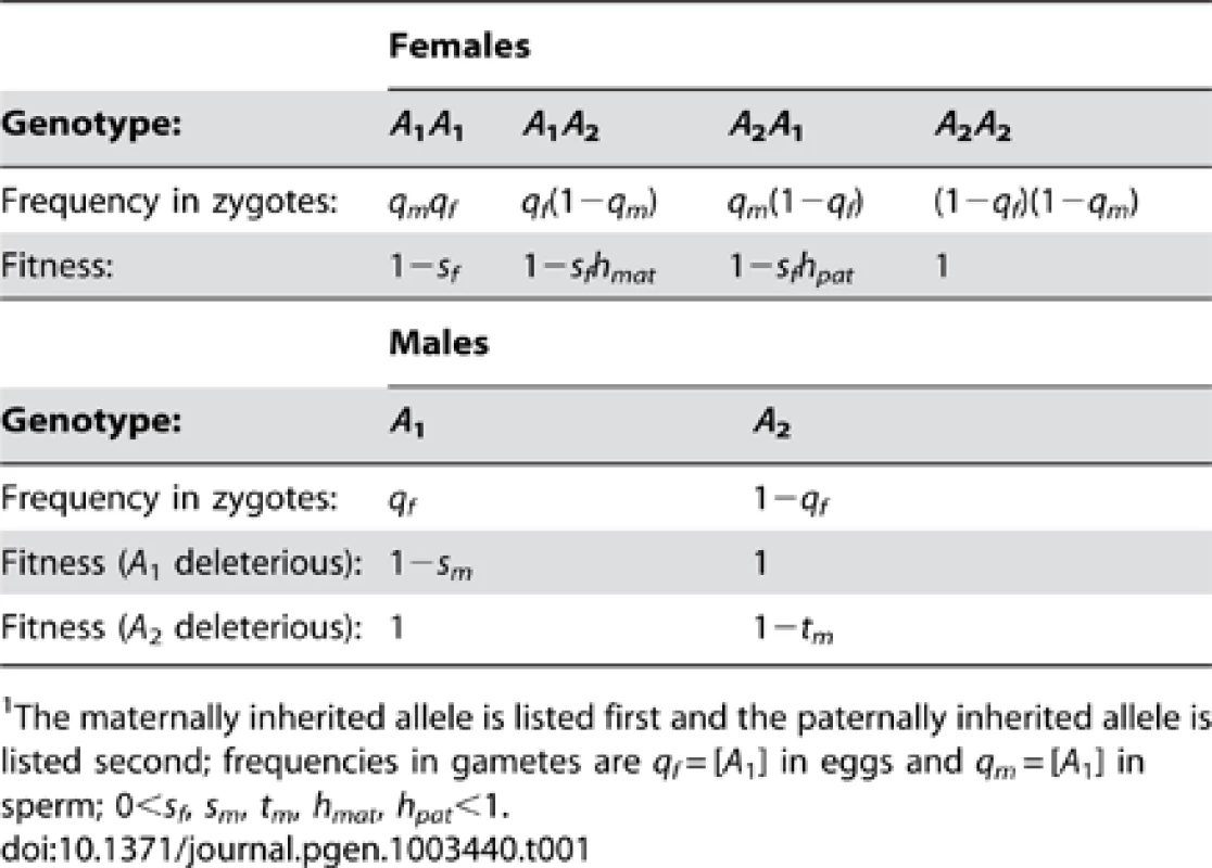 Fitnesses and frequencies of genotypes at the <i>A</i> locus.<em class=&quot;ref&quot;>1</em>