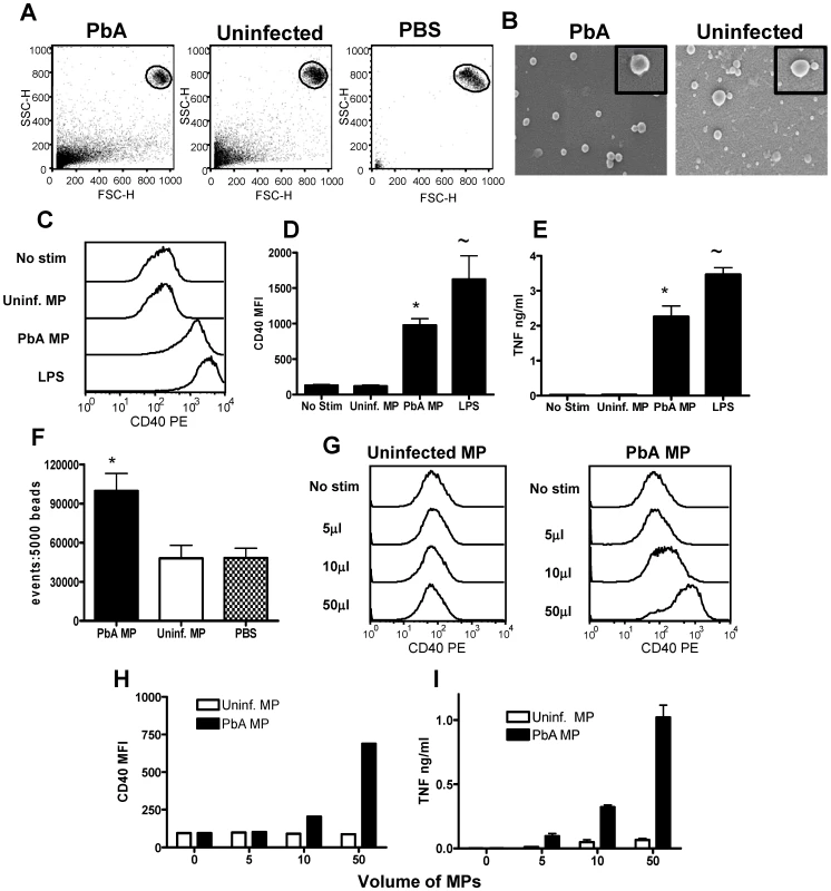 Plasma microparticles derived from malaria infected mice stimulate strong macrophage pro-inflammatory responses in vitro.