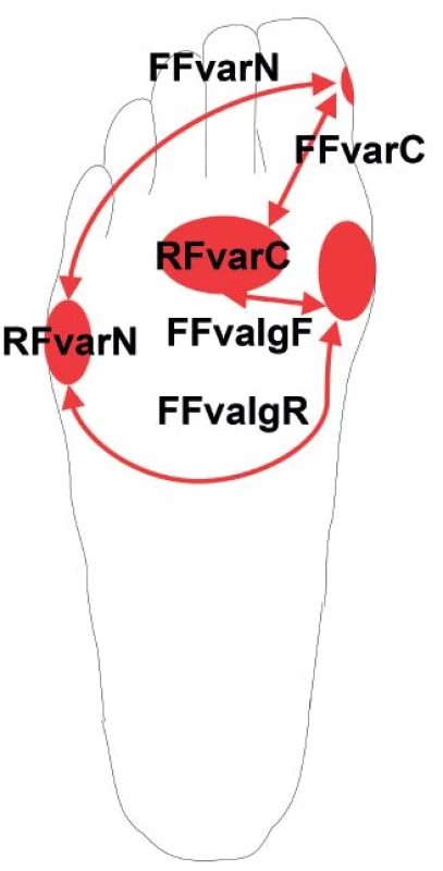 Základní principy zjednodušeného určení funkčního (sub)typu nohy:
otlaky pod hlavičkou II. a III. metatarzu znamenají kompenzovaný či flexibilní (sub)typ (RFvarC, FFvarC, FFvalgF); otlaky pod V. metatarzem znamenají nekompenzovaný či rigidní (sub)typ (RFvarN, FFvarN, FFvalgR); otlaky pod hlavičkou I. metatarzu jsou typické pro FFvalg; otlaky na mediálním okraji distálního článku palce jsou typické pro FFvar