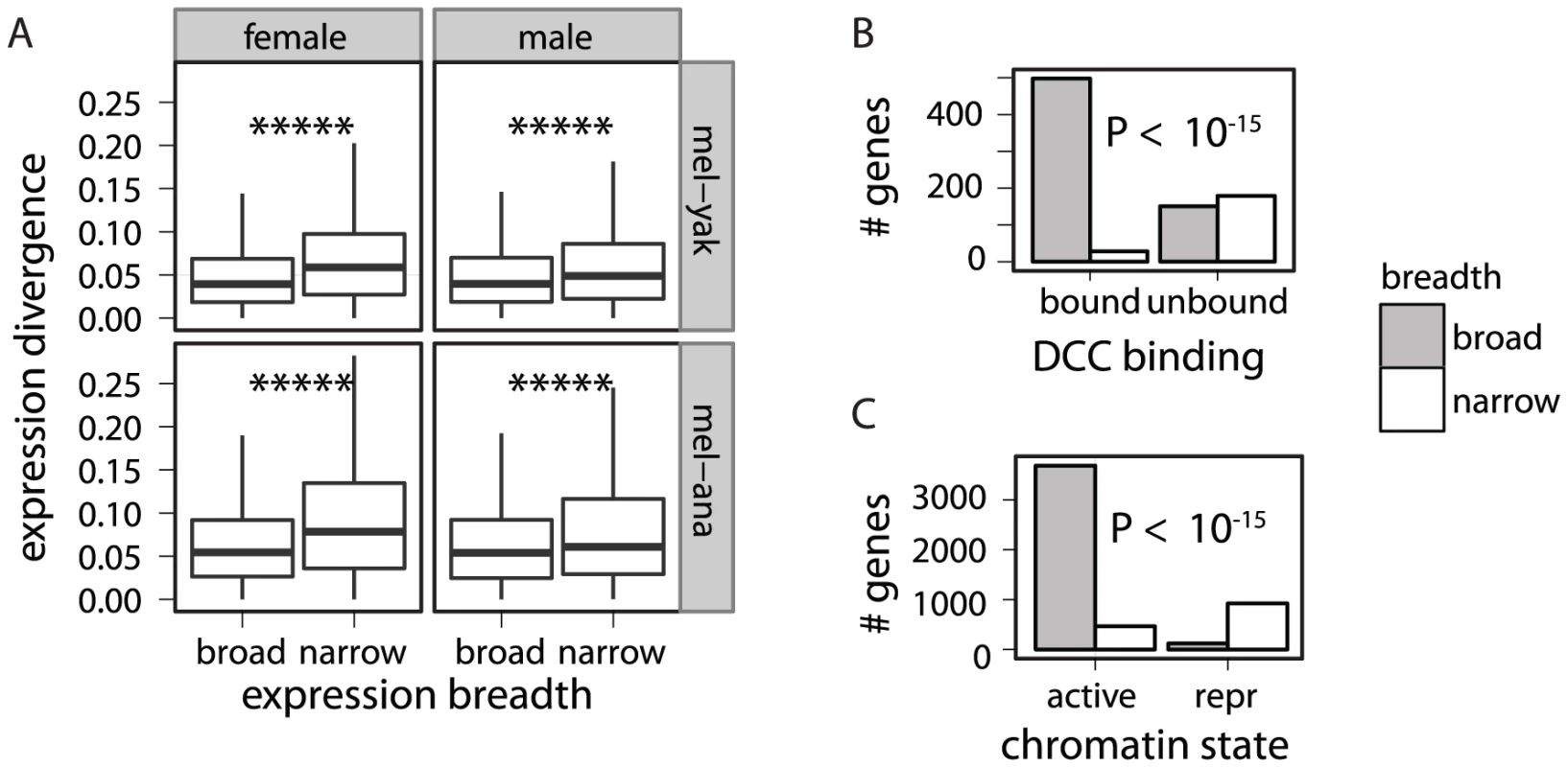 Association between expression breadth, DCC binding, chromatin state, and expression divergence.