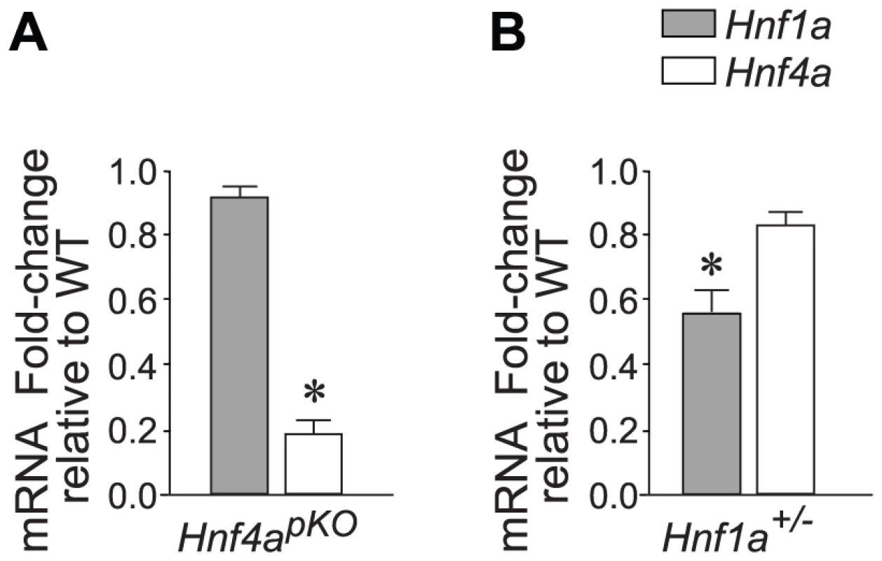<i>Hnf1a</i> and <i>Hnf4a</i> expression in mutant models.