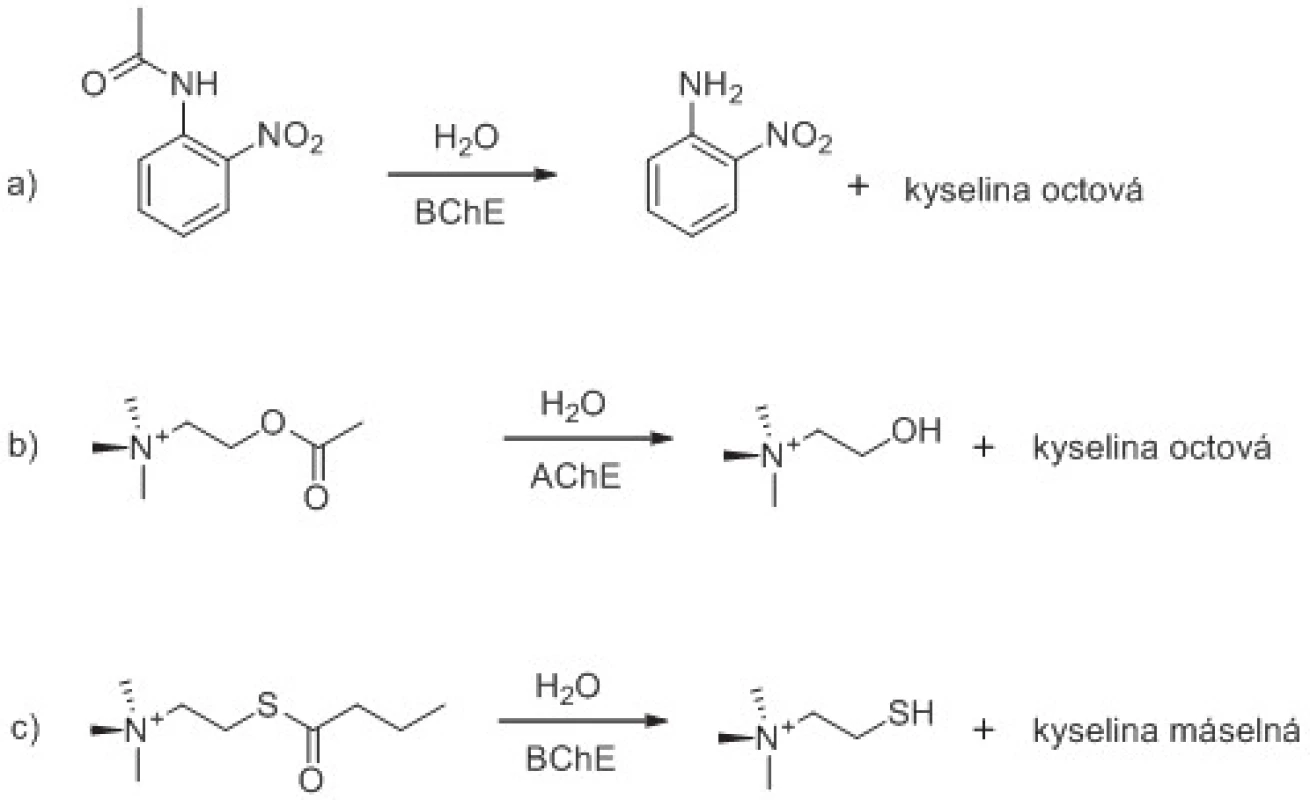 Ukázka štěpení aryl acylamidu, esteru a thioesteru pomocí cholinesteras. Hydrolýza o-nitroacetanilidu pomocí BChE (reakce a), acetylcholinu pomocí AChE (reakce b) a butyrylthiocholinu pomocí BChE (reakce c) jsou vyobrazeny jako příklady. Reakční schémata jsou upravena z citovaných prací &lt;sup&gt;61, 62).&lt;/sup&gt;