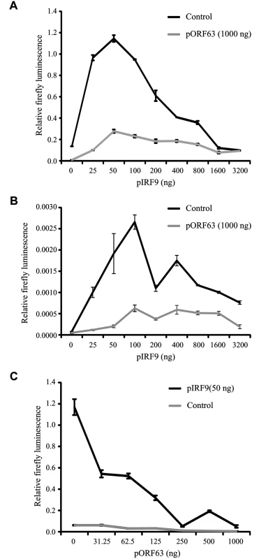 ORF63 inhibits IRF9-enhanced JAK-STAT signaling in HEK 293T cells.