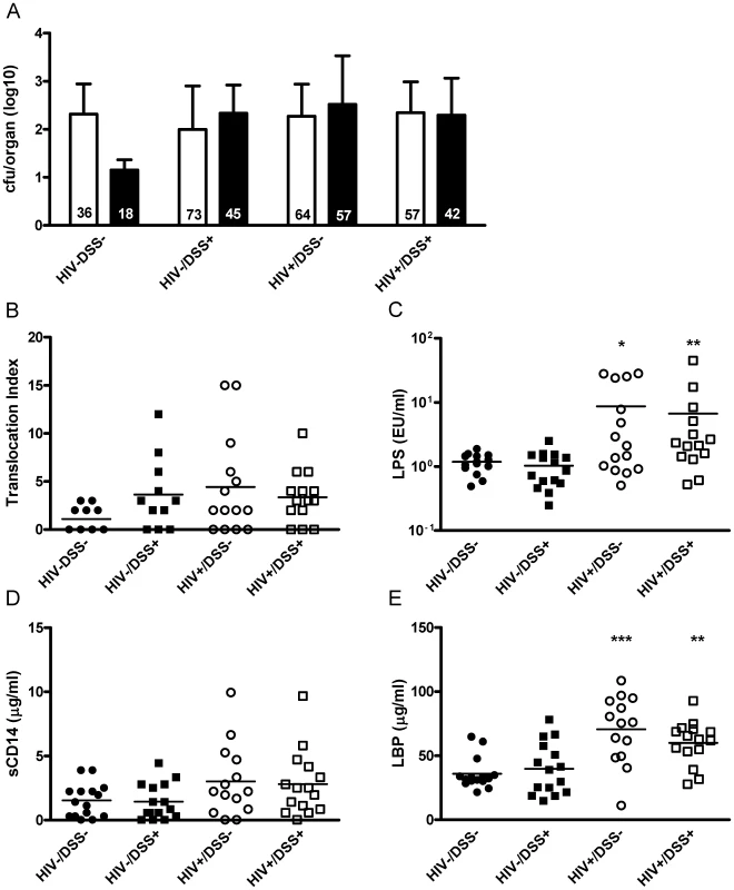 Gastrointestinal barrier dysfunction did not completely explain HIV-associated plasma LPS elevation in humanized mice.
