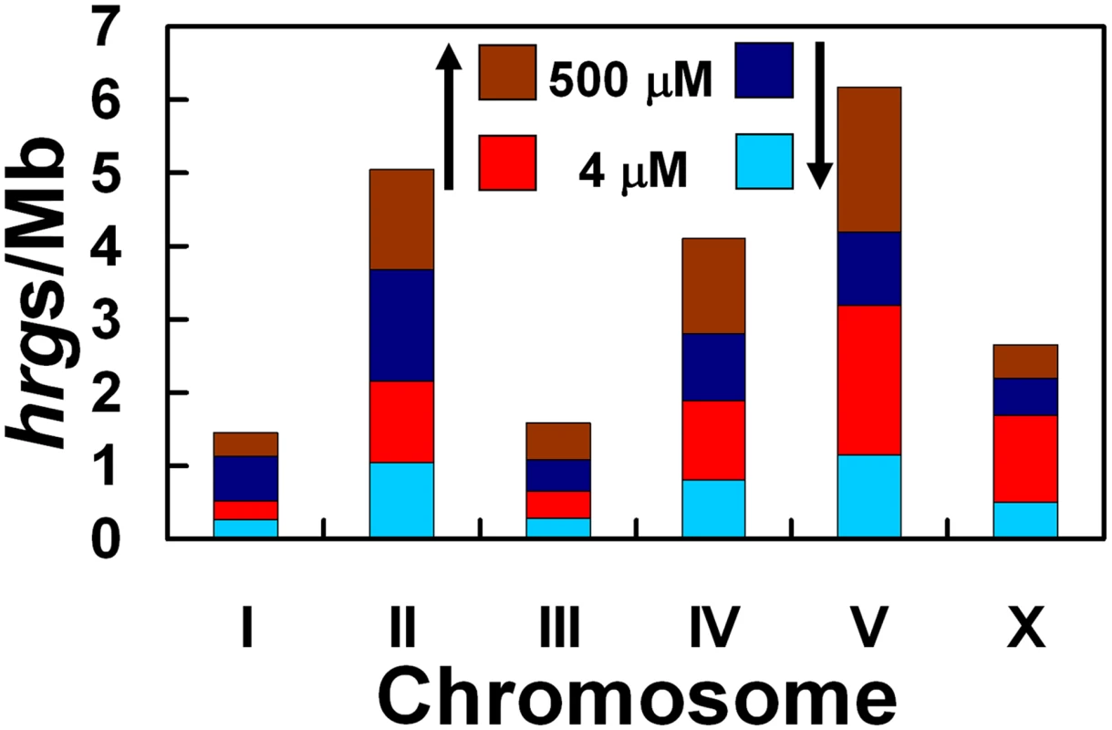 Depiction of the number of <i>hrgs</i> found on each chromosome relative to the number of megabases in that chromosome.