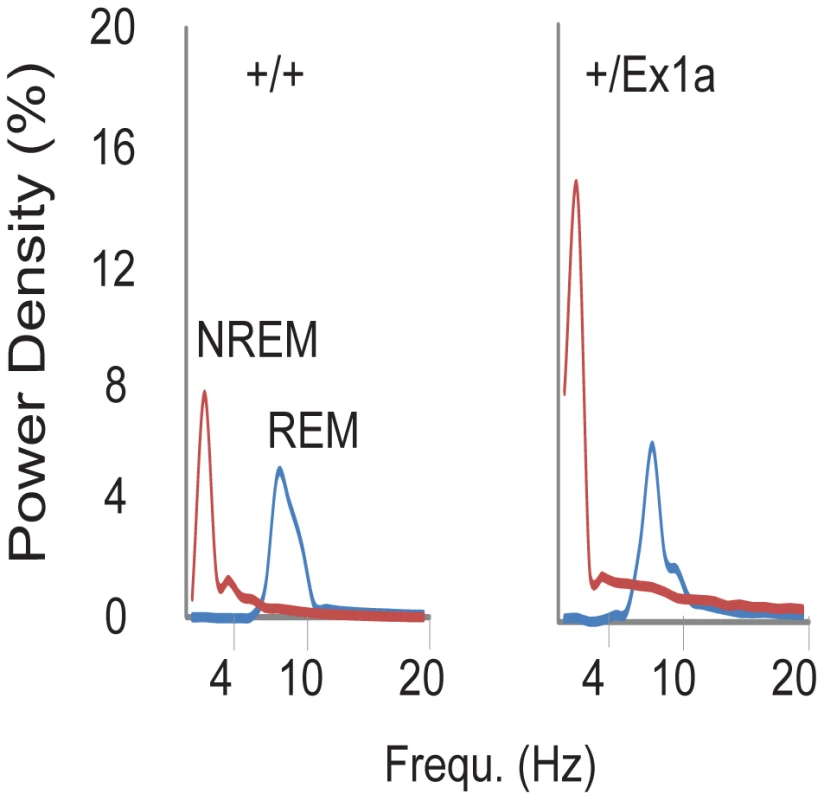 Representation of EEG frequencies in REM and NREM sleep.