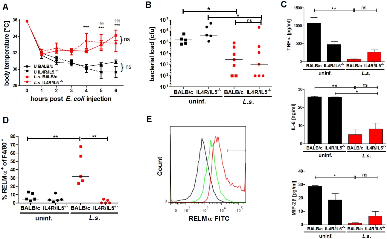 <i>L. sigmodontis</i>-mediated protection against <i>E. coli</i>-induced sepsis is not compromised in AAM-deficient IL-4Rα<sup>-/-</sup>/IL-5<sup>-/-</sup> mice.