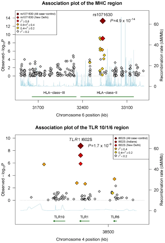 Association plots of the <i>HLA class II</i> and <i>TLR 10/6/1</i> regions with leprosy susceptibility.