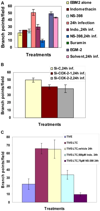 Effect of COX-2 inhibition on KSHV infection-induced capillary tube formation in normal HMVEC-d cells.