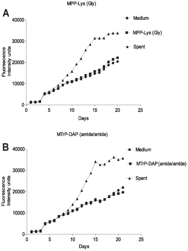 Growth stimulation assay of low inoculum cultures of <i>M. tuberculosis</i>.