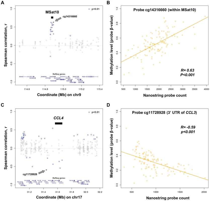 Variation in copy number of tandem repeats and multicopy genes is associated with alterations of local DNA methylation.