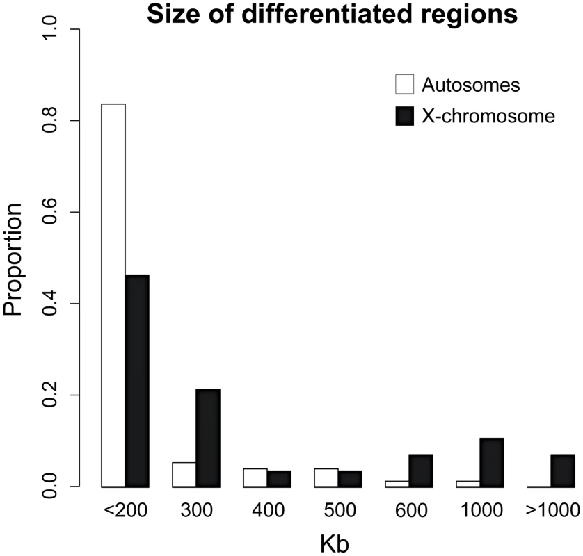 Highly heterogeneous size of differentiated regions.