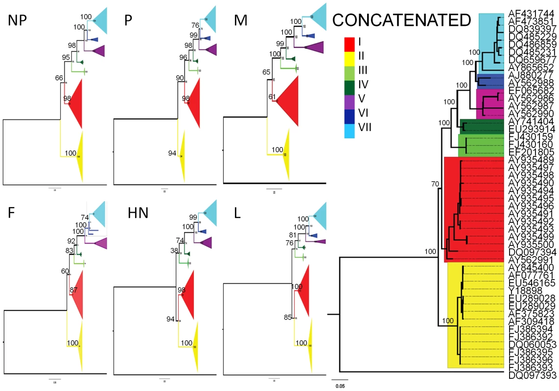 Phylogenetic relationships among 48 non-recombinant isolates.