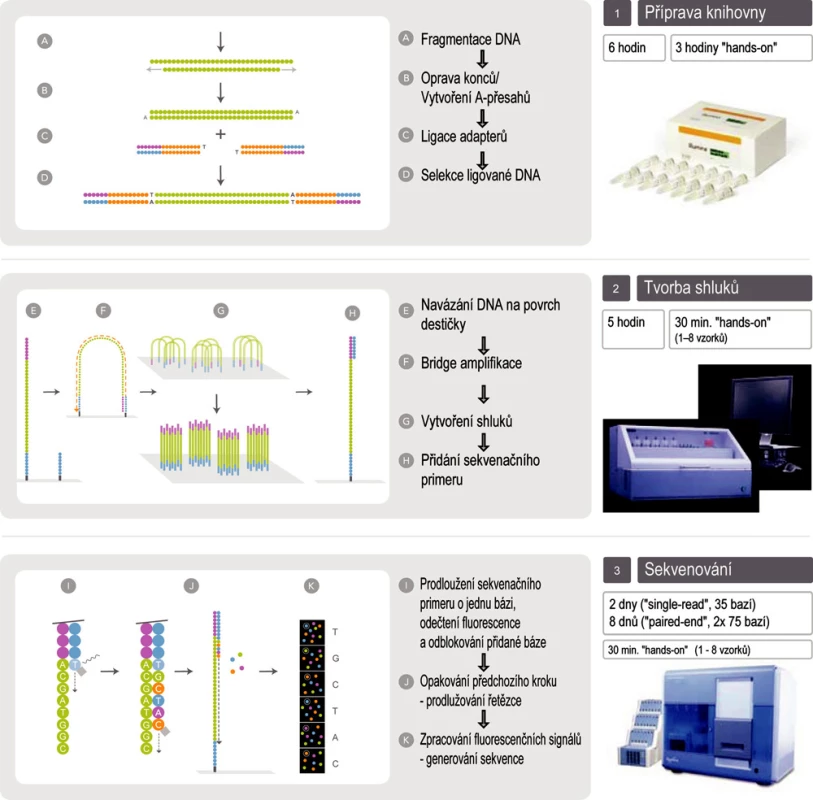 Schéma sekvenování na přístroji Illumina Genome Analyzer IIx (upraveno se souhlasem firmy Illumina)