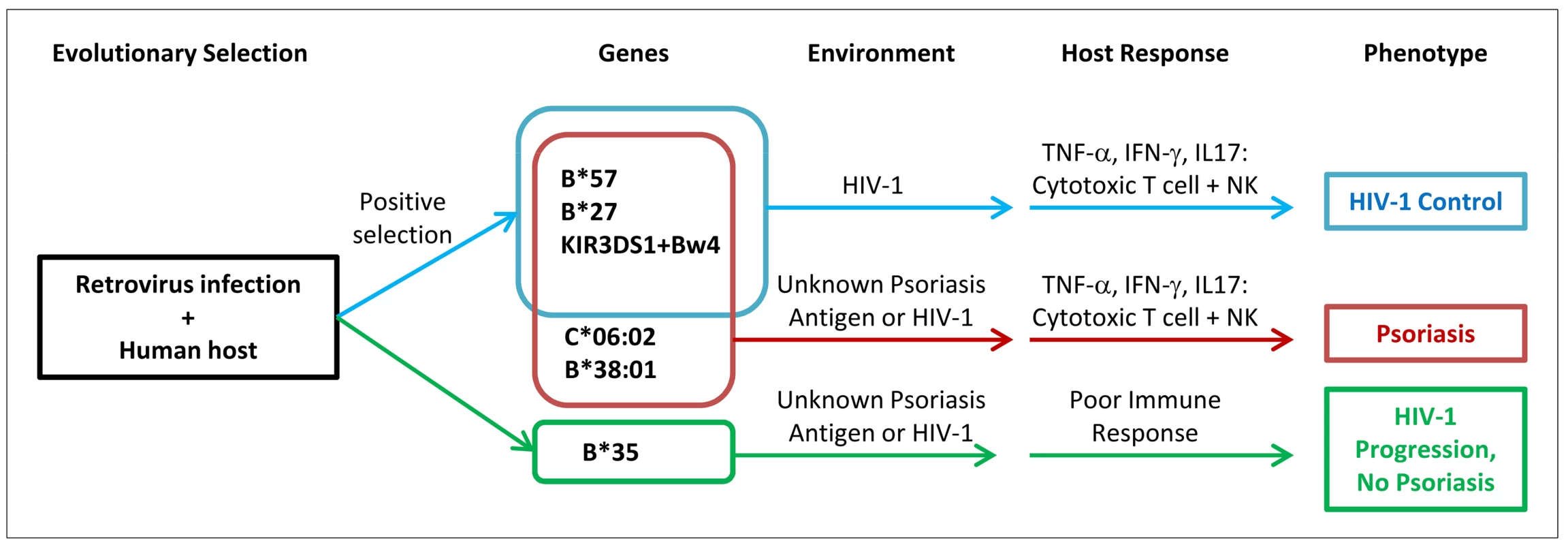 Proposed model of relationship between psoriasis and HIV-1 control.