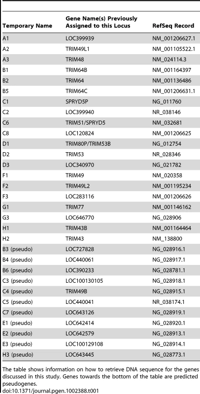 Names and Refseq numbers for <i>TRIM</i> genes described in this study.