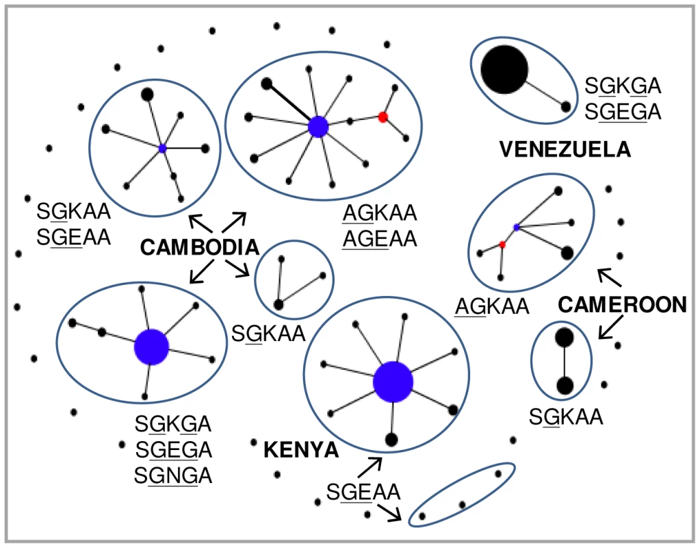 Genetic relationships among the <i>dhps</i> alleles of Southeast Asia (Cambodia), Africa (Kenya and Cameroon) and South America (Venezuela).
