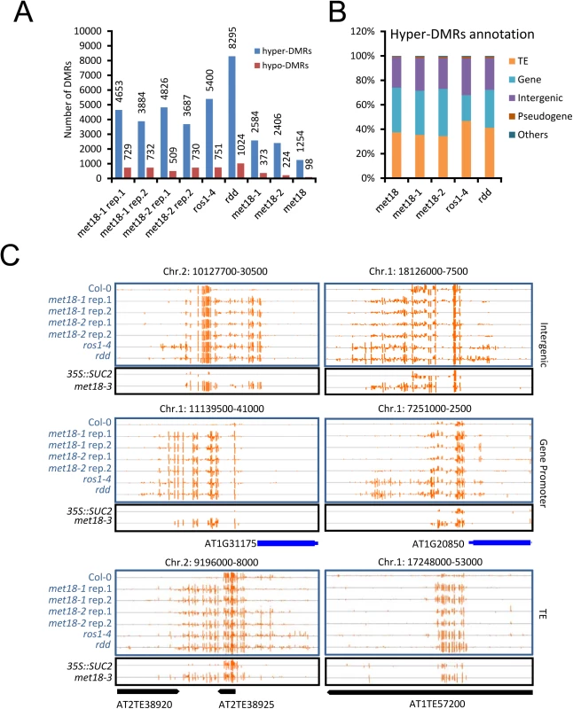 DNA methylation profiles in the <i>met18</i>, <i>ros1-4</i> and <i>rdd</i> mutants.