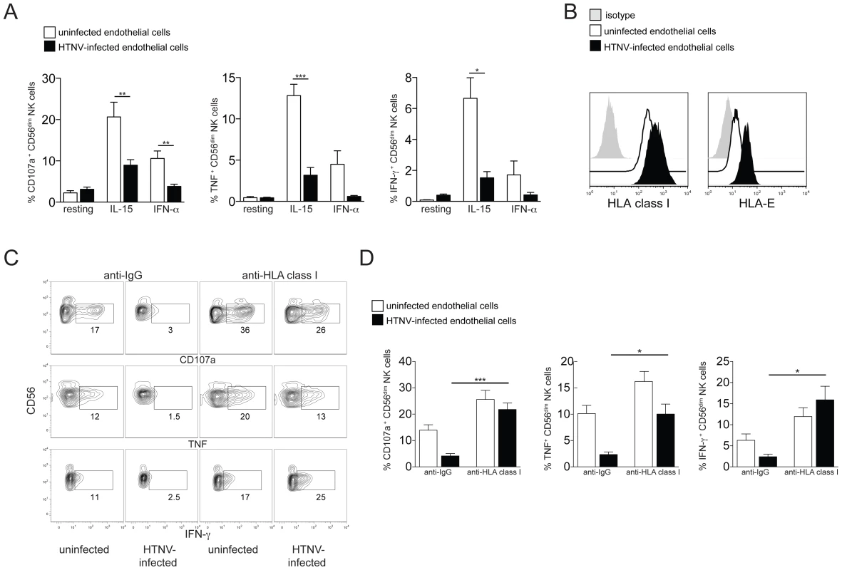 Increased HLA class I expression on hantavirus-infected cells inhibits NK cell effector functions.