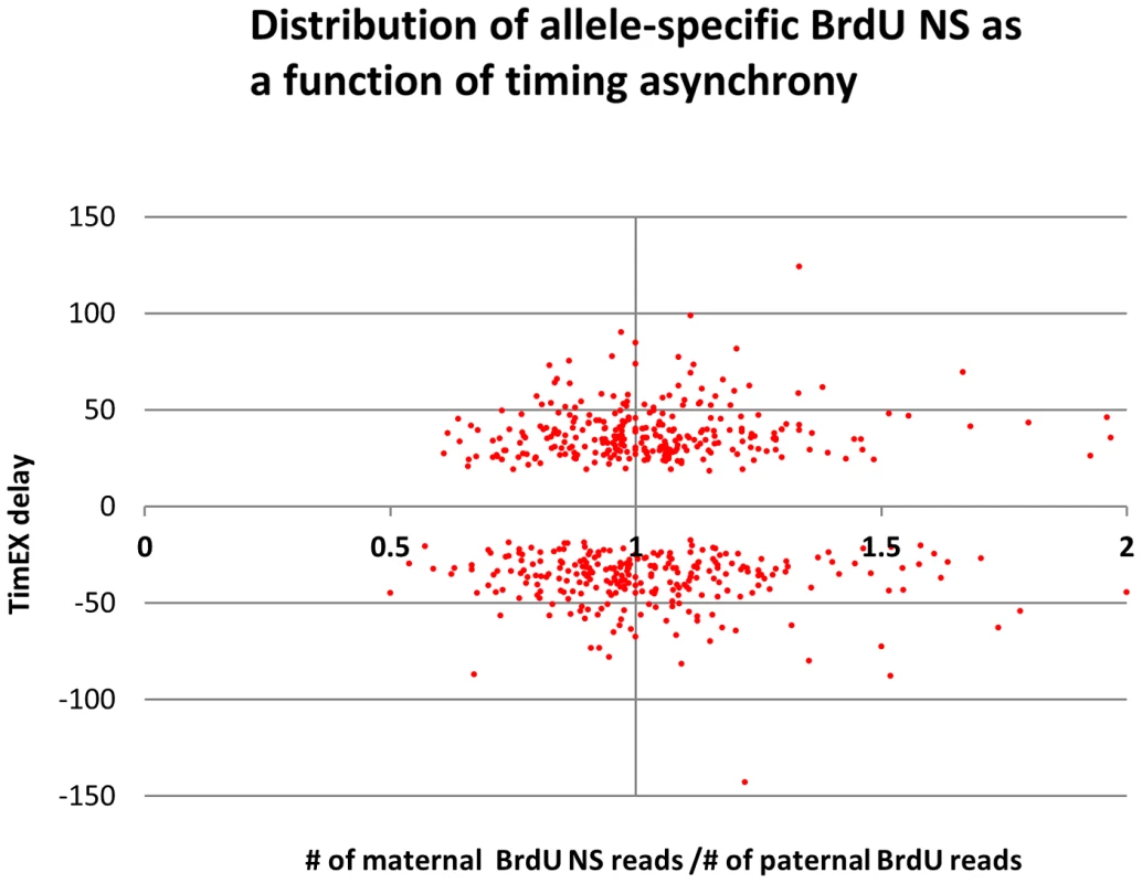 Distribution of allele-specific BrdU NS as a function of timing asynchrony.