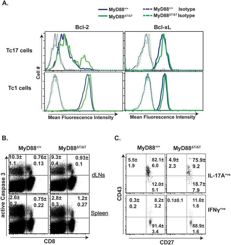 The role of intrinsic MyD88 for effector CD8<sup>+</sup> T cell survival.