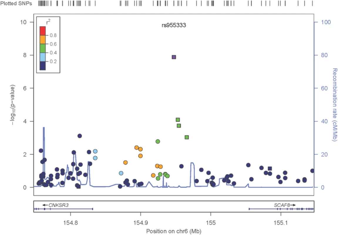 Zoom plot of the <i>SCAF8</i> gene region (trans-ancestry meta-analysis across Discovery and Replication samples).