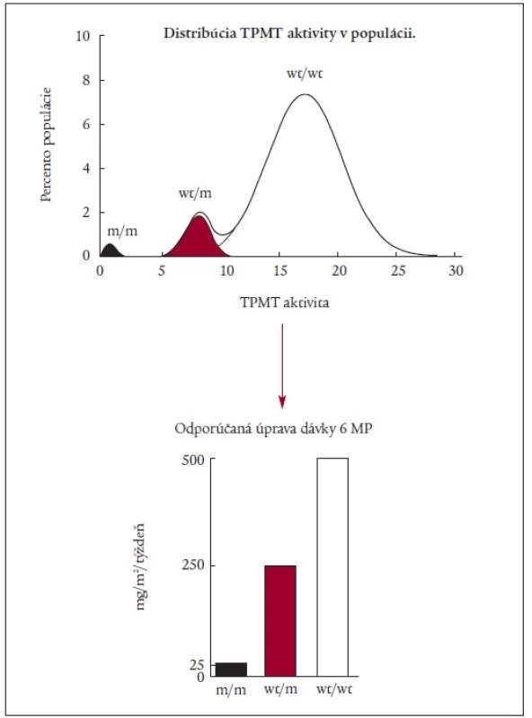 Genetický polymorfizmus TPMT a odporúčaná úprava dávok; voľne podľa [14].